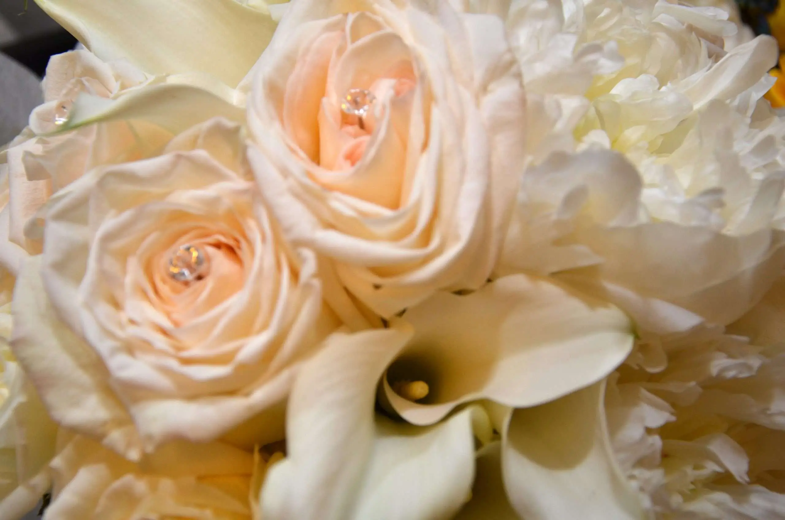 Wedding gallery, photo 13 of 15